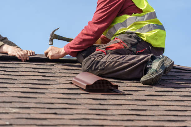 Best Metal Roofing Contractor  in Paintsville, KY