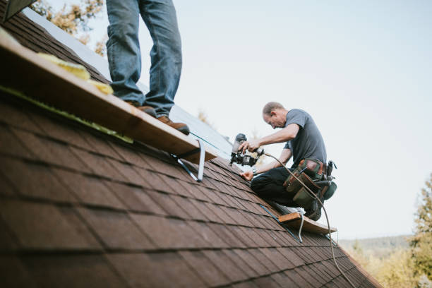 Best Flat Roof Repair Services  in Paintsville, KY